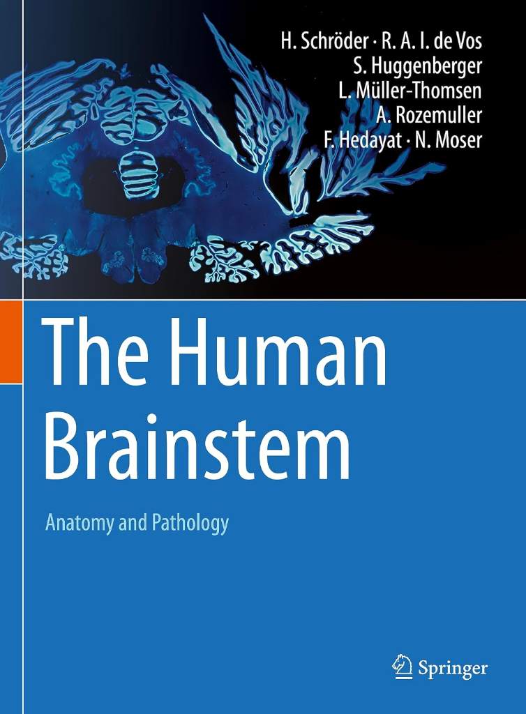 The Human Brainstem: Anatomy and Pathology by Hannsjörg Schröder - 9783030899790