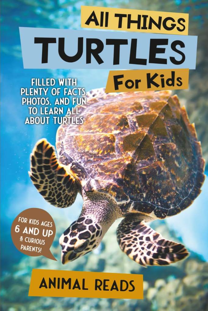 All Things Turtles For Kids: Filled With Plenty of Facts, Photos, and Fun to Learn all About Turtles by Animal Reads | barcode:9783967720891 | source:'9783967720891.jpg