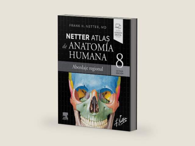 Netter. Atlas de anatomía humana. Abordaje regional by Frank H. Netter | barcode:9788413823980 | source:'9788413823980-right-three-quarter.jpg