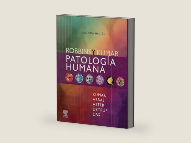 Robbins y Kumar. Patología humana (Spanish Edition) by Vinay Kumar | barcode:9788413827100 | source:'9788413827100-right-three-quarter.jpg
