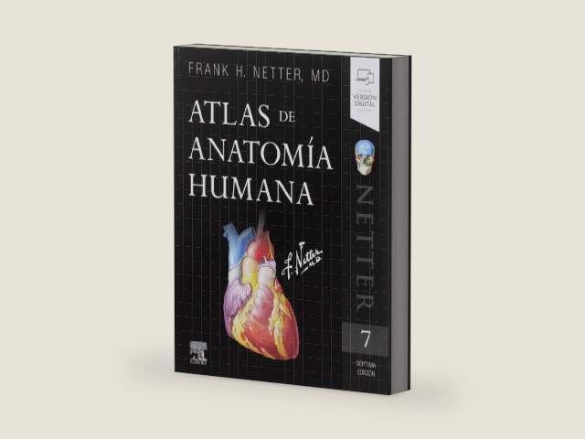 Atlas de anatomía humana (7ª ed.) by Frank H. Netter | barcode:9788491134688 | source:'9788491134688-right-three-quarter.jpg