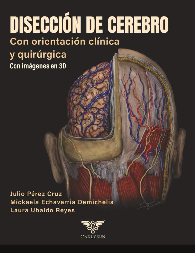 Disección de cerebro con orientación clínica y quirúrgica: Con imágenes en 3D (Spanish Edition) by Laura Ubaldo | barcode:9789564241647 | source:'9789564241647.jpg