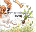 Everything Is Chewable by Bryan Adams | barcode:9798184572819 | source:'9798184572819.jpg