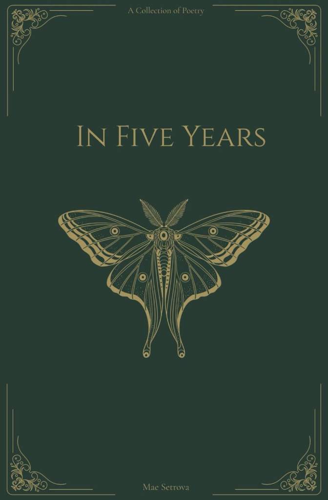 In Five Years by Mae Setrova | barcode:9798241488978 | source:'9798241488978.jpg