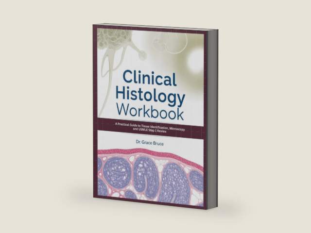 Clinical Histology Workbook: A Practical Guide to Tissue Identification, Microscopy and USMLE Step 1 Review by Dr. Grace Bruce | barcode:9798254066163 | source:'9798254066163-right-three-quarter.jpg