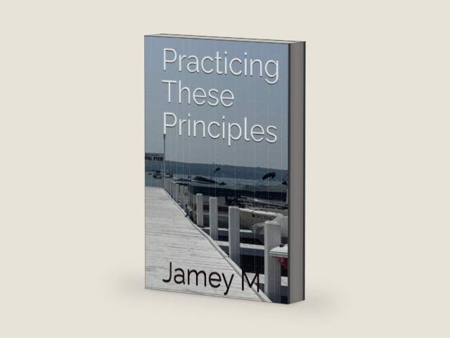 Practicing These Principles by Jamey M | barcode:9798272692139 | source:'9798272692139-right-three-quarter.jpg