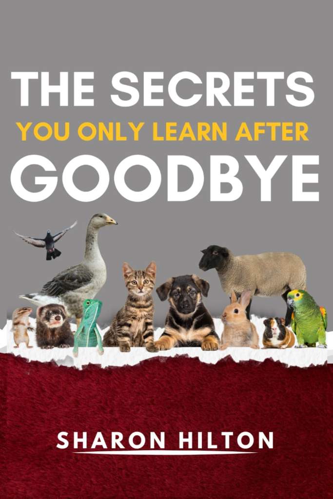 THE SECRETS YOU ONLY LEARN AFTER GOODBYE by SHARON HILTON | barcode:9798289276926 | source:'9798289276926.jpg