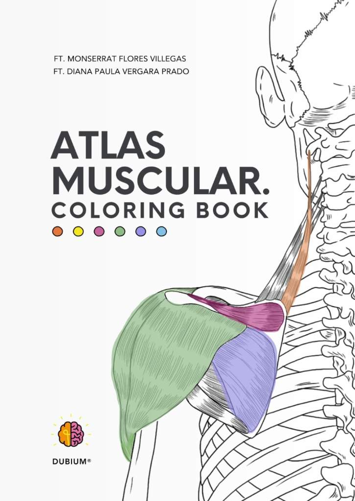 Atlas Muscular Coloring Book: Dubium (Spanish Edition) by Diana Paula Vergara Prado | barcode:9798323780402 | source:'9798323780402.jpg
