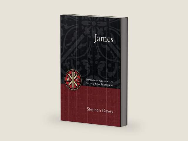 James: Expository Commentary on the New Testament by Stephen Davey | barcode:9798336643985 | source:'9798336643985-right-three-quarter.jpg