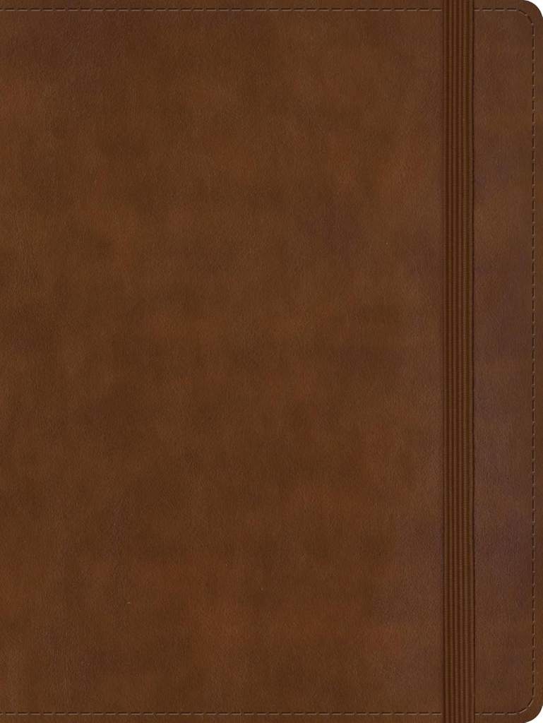 RVR 1960 Biblia de apuntes tamaño personal, café, símil piel / RVR 1960 Personal size Note taking Bible Brown LeatherTouch (Spanish Edition) by B&H Español Editorial Staff | barcode:9798384500414 | source:'9798384500414.jpg