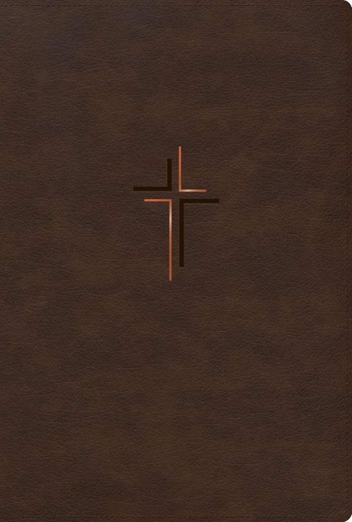 RVR 1960 Biblia letra grande, tamaño manual, edición especial, café tierra, símil piel (RVR 1960 Hand Size Giant Print Special Edition, earth brown LeatherTouch) (Spanish Edition) by B&H Español Editorial Staff | barcode:9798384544340 | source:'9798384544340.jpg