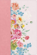 RVR 1960 Biblia letra grande, tamaño manual, edición especial, rosa pastel, símil piel (RVR 1960 Hand Size Giant Print special edition, pink pastel LeatherTouch) (Spanish Edition) by B&H Español Editorial Staff | barcode:9798384544364 | source:'9798384544364.jpg