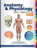 Anatomy and Physiology Coloring Book: Anatomy Study Guide. Anatomy and Physiology Workbook by Summer Q. S. Parks | barcode:9798569081707 | source:'9798569081707.jpg