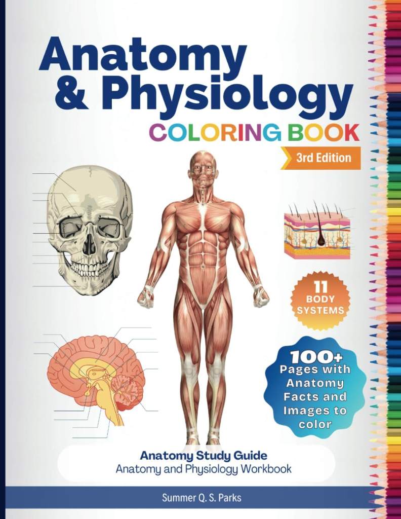 Anatomy and Physiology Coloring Book: Anatomy Study Guide. Anatomy and Physiology Workbook by Summer Q. S. Parks | barcode:9798569081707 | source:'9798569081707.jpg