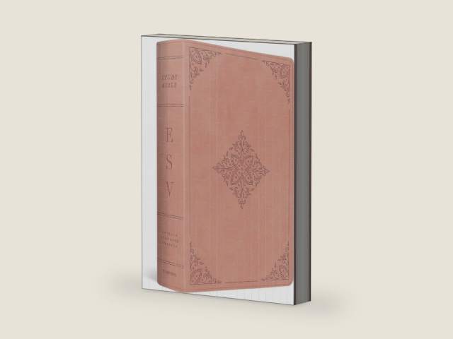 ESV Study Bible (TruTone, Pink, Fleur-de-lis Design): Holy Bible, English Standard Version by ESV Bibles | barcode:9798874902681 | source:'9798874902681-right-three-quarter.jpg