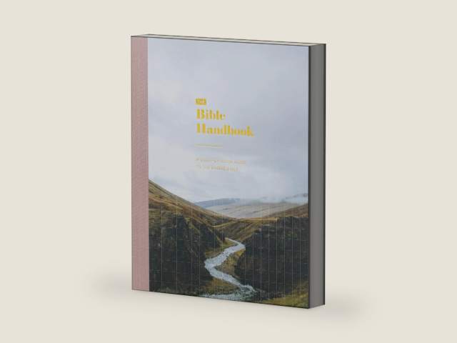 The Bible Handbook: A Book-by-Book Guide to the Entire Bible by The Daily Grace Co. | barcode:9798885231930 | source:'9798885231930-right-three-quarter.jpg