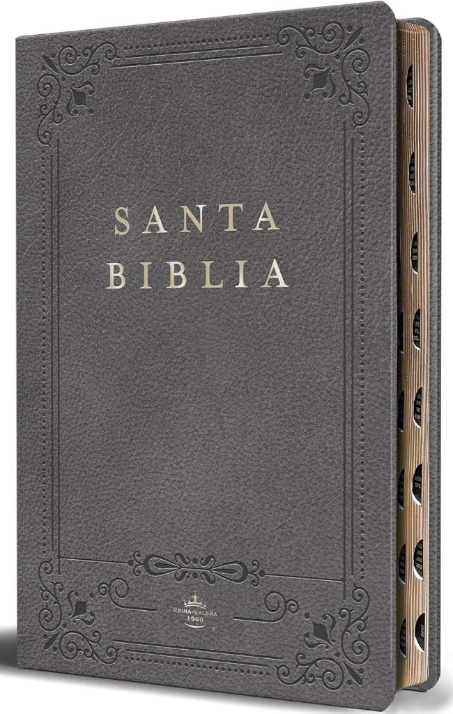 Biblia RVR 1960 letra grande tamaño manual, Piel gris con índice / Spanish Bible RVR 1960 Handy Size Large Print Leathersoft Gray with index (Spanish Edition) by Reina Valera Revisada 1960 | barcode:9798890982148 | source:'9798890982148.jpg