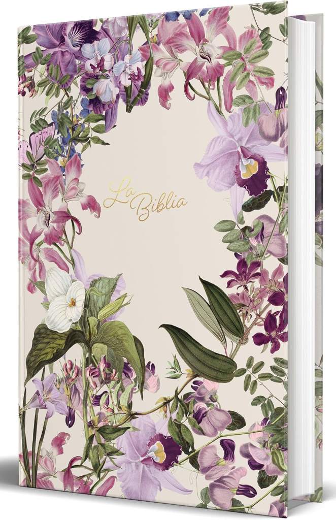 La Biblia Católica: Edición letra grande. Tapa dura, morada con flores / Catholic Bible: Large Print, Hard Cover, Purple with flowers (Spanish Edition) by Biblia de América | barcode:9798890985316 | source:'9798890985316.jpg