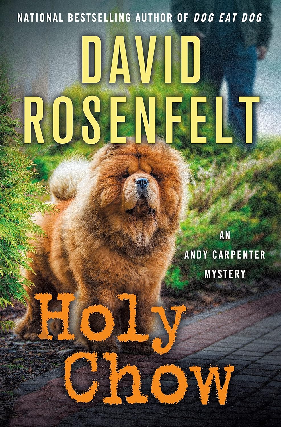 Holy Chow: An Andy Carpenter Mystery (An Andy Carpenter Novel, 25) by David Rosenfelt