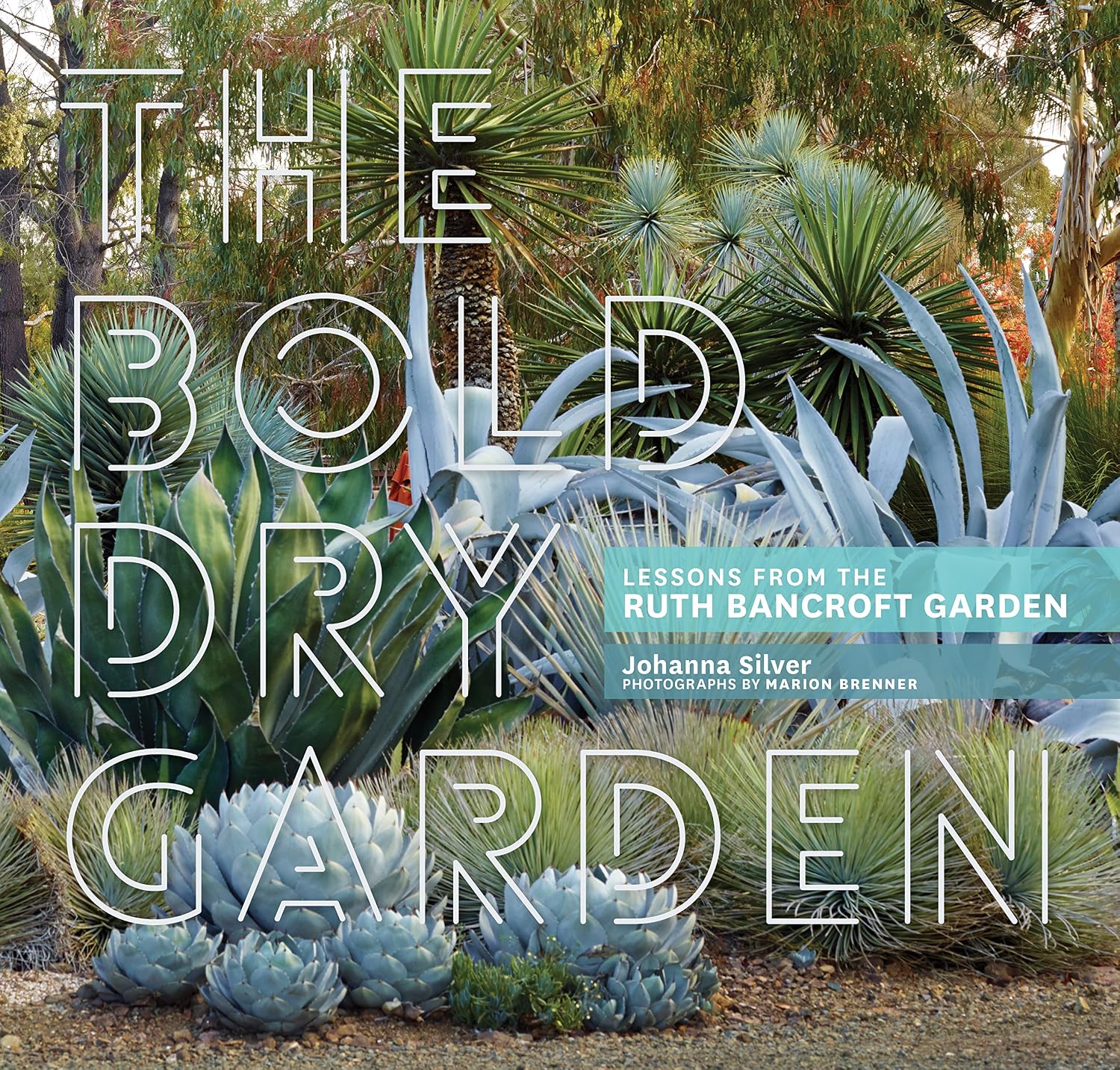 The Bold Dry Garden: Lessons from the Ruth Bancroft Garden by Johanna Silver