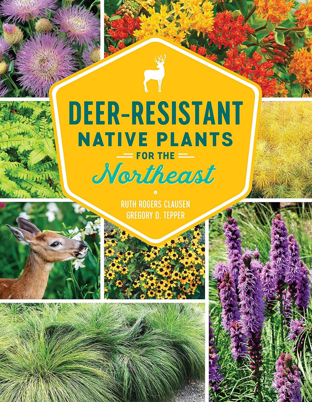 Deer-Resistant Native Plants for the Northeast by Ruth Rogers Clausen