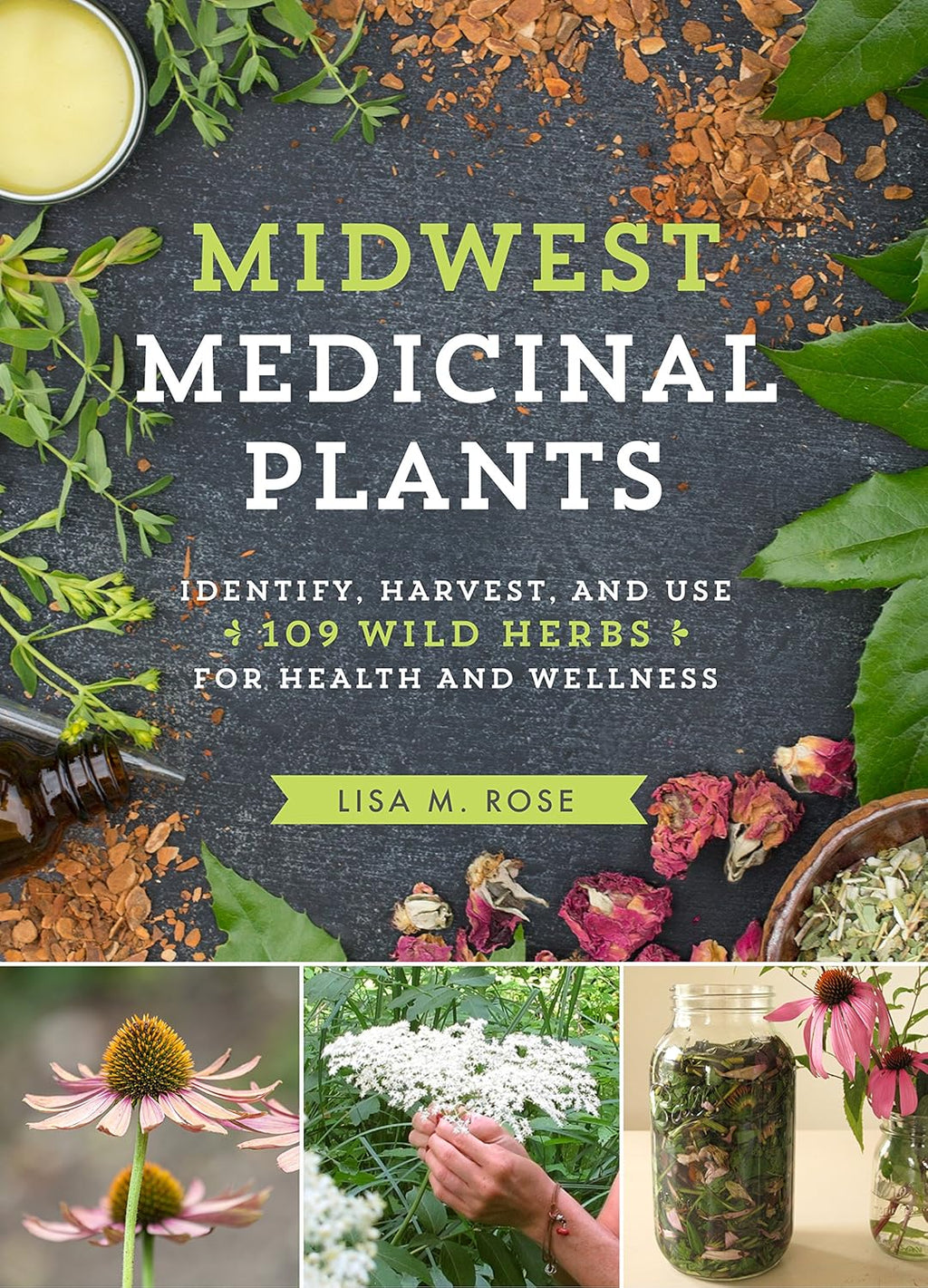 Midwest Medicinal Plants: Identify, Harvest, and Use 109 Wild Herbs for Health and Wellness (Medicinal Plants Series) by Lisa M. Rose