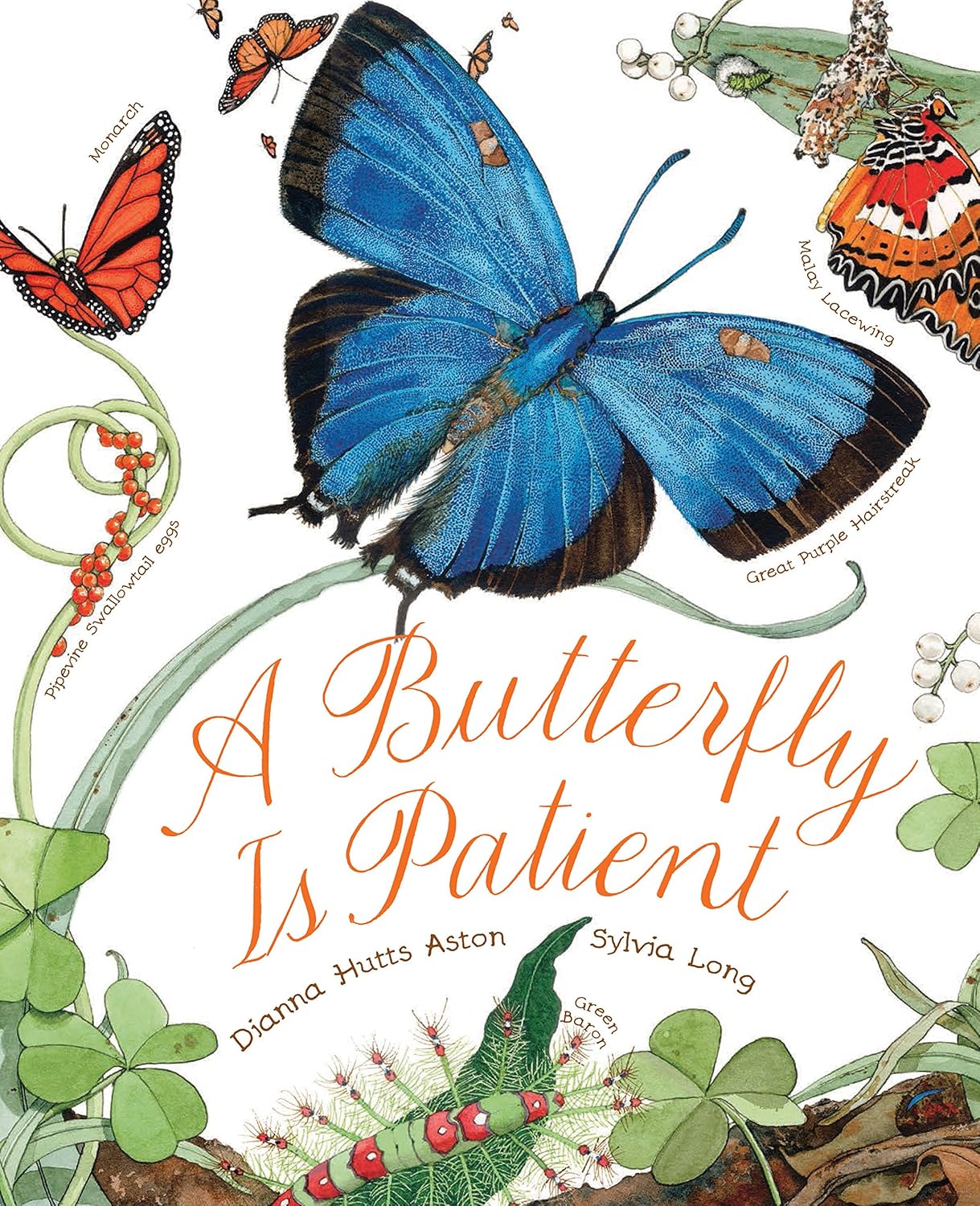 A Butterfly Is Patient: (Nature Books for Kids, Children's Books Ages 3-5, Award Winning Children's Books) (Sylvia Long) by Dianna Hutts Aston