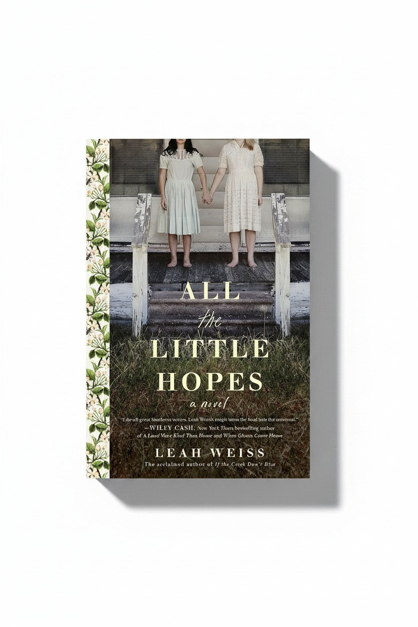 BestBuyBook All the Little Hopes novel cover featuring two girls holding hands on a porch with floral side borders