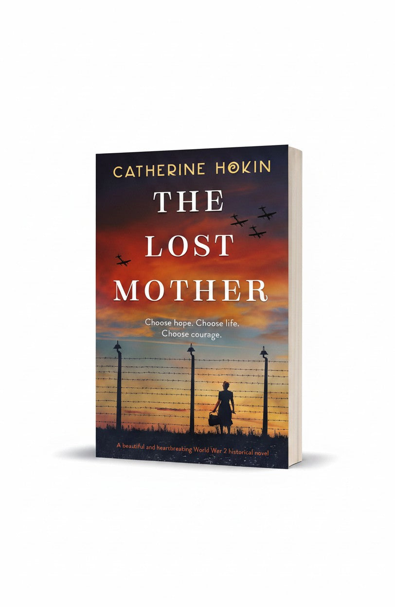 BestBuyBook paperback cover of The Lost Mother by Catherine Hokin featuring a silhouette against a sunset sky.