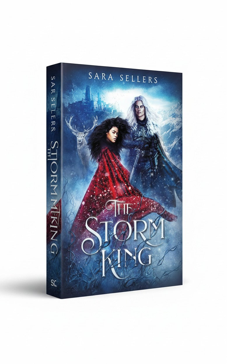 BestBuyBook The Storm King fantasy romance novel cover featuring a princess in a red cloak and a silver-haired king