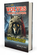 BestBuyBook Wolves in Sheep's Clothing book cover featuring a wolf in sheep's wool against a stormy sky background.